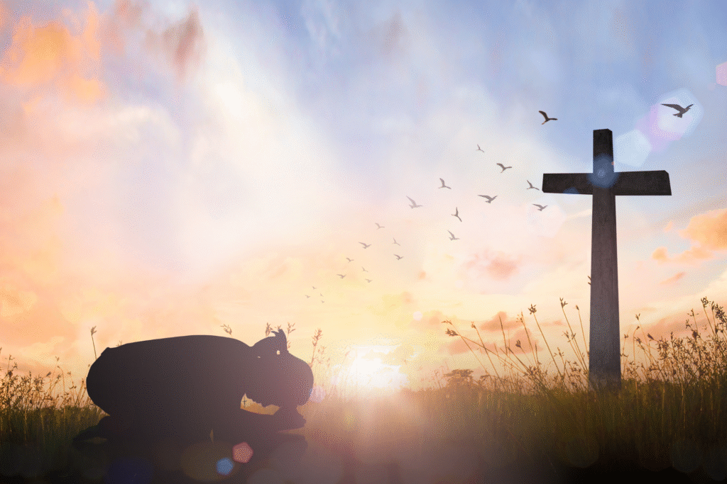 God's strength Trusting God's plan through adversity—finding strength in faith.